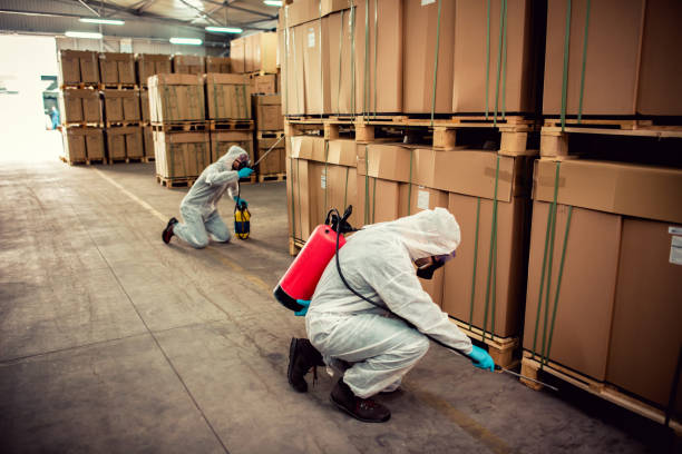 Best Wildlife Control Services  in Franklin, NH