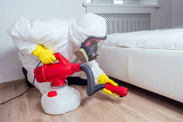 Best Bed Bug Extermination  in Franklin, NH