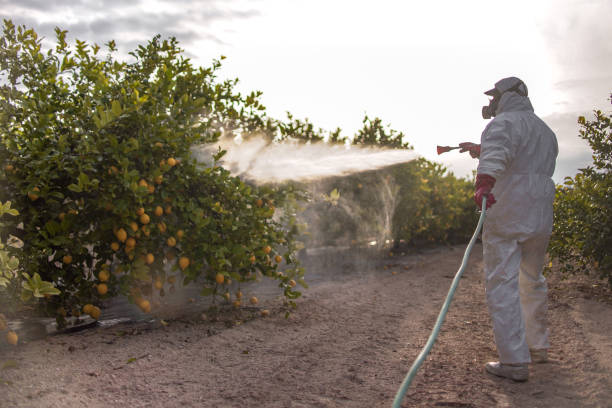 Best Pest Prevention Services  in Franklin, NH